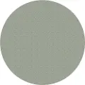 Magni Trizcat P1000 Slipeskive 15 Enheter