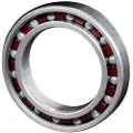 Zipp 61803 Ceramic Lager