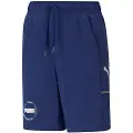 Puma Alpha Shorts