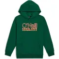 O'Neill Essentials Hettegenser