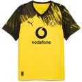 Puma Borussia Dortmund 25/26 Home Jersey Men, Sport, Faster Yellow/Black, 3XL