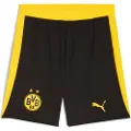 Puma Borussia Dortmund 25/26 Shorts Men, Sport, Black/Faster Yellow, M