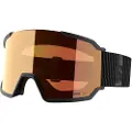 Salomon S/view 3 Fotokromatiske Skibriller