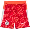 Puma Borussia Dortmund 25/26 Goalkeeper Shorts Men, Sport, Glowing Red/Silver Mist, XXL