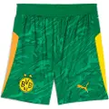 Puma Borussia Dortmund 25/26 Goalkeeper Shorts Men, Sport, Archive Green/Intense Orange, S