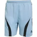Adidas Teamgeist Adicolor Shorts