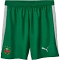 Puma SK Rapid Wien 25/26 Shorts Men, Sport, White/Sport Green, XL