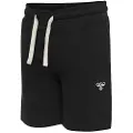 Hummel Bassim Shorts Black