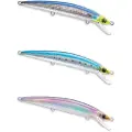 Duel Aile Magnet Tungsten Minnow 30g 145 Mm