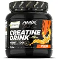 Amix Creapure 350g Kreatin Appelsin