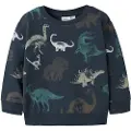 Name It Mini Økologisk Bomull Sweatshirt