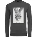 Mister tee Trust 2.0 Collegegenser