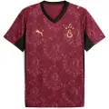 Puma Galatasaray SK 25/26 Third Jersey Men, Sport, Regal Red/Gold, XL