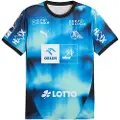 Puma THW Kiel 25/26 Away Jersey Men, Sport, Navy/Racing Blue, XL