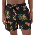 Hurley Cannonball Volley 17" Boardshorts svart