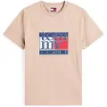 Tommy Hilfiger for man. DM0DM21977 T-shirt Ss taupe (XXL), Brown, Casual, Cotton, Short sleeve