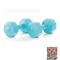 Gymstick Vinyl Dumbbells 2 x 5kg