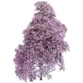 Busch 3587 Busk Forår Lilla, Blomstrende
