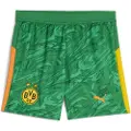 Puma Borussia Dortmund 25/26 Goalkeeper Shorts Youth, Clothing, Archive Green/Intense Orange, 13-14Y
