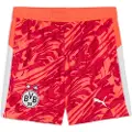 Puma Borussia Dortmund 25/26 Goalkeeper Shorts Youth, Clothing, Glowing Red/Silver Mist, 13-14Y