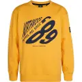 Petrol Industries B-3050-swr355 Collegegenser