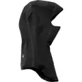 Smartwool Merino 250 Balaclava
