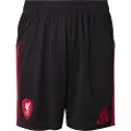 Adidas Liverpool Fc 25/26 Borte Shorts