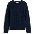 Tommy Hilfiger Ww0ww43586 Genser