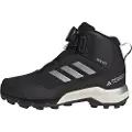 Adidas Terrex Winter Mid Boa R.rdy Tursko