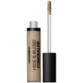 Sandstone Hide & Blend Concealer N55