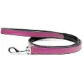 Gloria Leather Padded Hundebånd