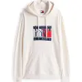 Tommy Hilfiger Dm0dm22092 Hettegenser