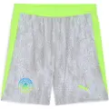 Puma Manchester City 25/26 Shorts Men, Sport, Cool Weather/Pro Green, S