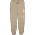 Puma Maximal Metallic Fl Svettbukser