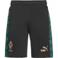Puma Borussia Mönchengladbach KING Shorts Men, Sport, Black/Gold, XL