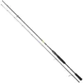 Daiwa Prorex E Zander Hit Spinnestang