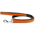 Gloria Leather Padded Hundebånd