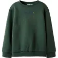 Name It Kids Normal Passform Sweatshirt