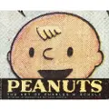 Pantheon Books Peanuts: The Art of Charles M. Schulz