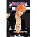 Viz Media, Subs. of Shogakukan Inc Bleach SOULs. Official Character Book