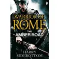 Penguin Books Ltd Warrior of Rome VI: The Amber Road