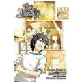 Little, Brown and Company A Certain Magical Index, Vol. 14 (manga)