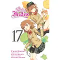 Little, Brown and Company A Certain Magical Index, Vol. 17 (manga)