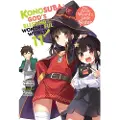 Little, Brown and Company Konosuba: God's Blessing on This Wonderful World!, Vol. 11 (light novel)