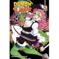 Viz Media, Subs. of Shogakukan Inc Demon Slayer: Kimetsu no Yaiba, Vol. 14