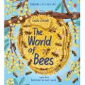 Usborne Look Inside the World of Bees