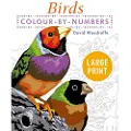 Arcturus Publishing Large Print Colour by Numbers Birds