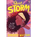 Usborne Quiet Storm