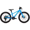 Specialized Riprock 20´´ Acolyte 2026 Terrengsykkel