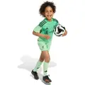 Adidas Liverpool Fc 25/26 Mini Keeper Hjem Juniorsett